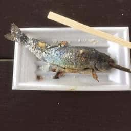 赤見温泉フィッシングフラワーパーク