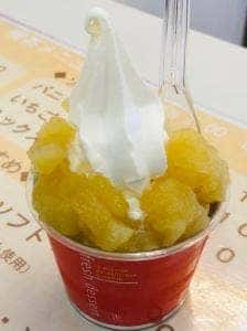 道の駅 そうべつ情報館i