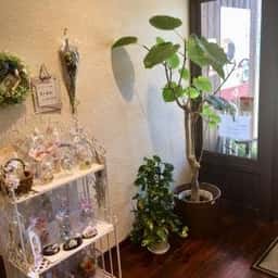 cafe つきしろ