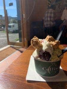 Collina KAMAKURA GELATO