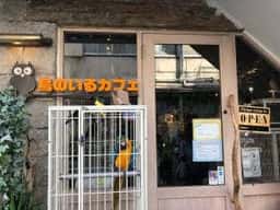 鳥のいるカフェ 谷中本店