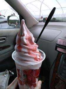 自然満喫倶楽部