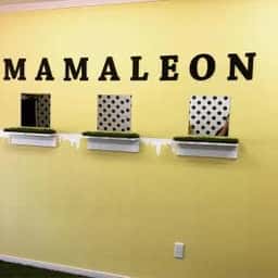 MAMALEON