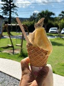 種子島ジェラート HOPE