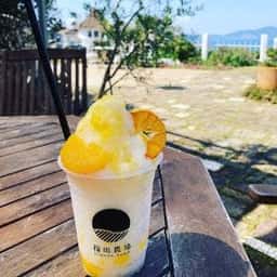 福田農場
