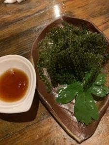 森のこかげ