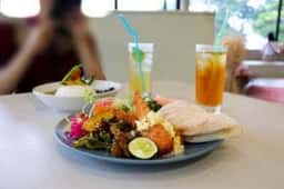 青島ハンモック