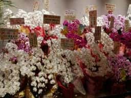 和牛焼肉専門店 BURIBUSHI ハナサキマルシェ店