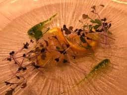 ピアット スズキ