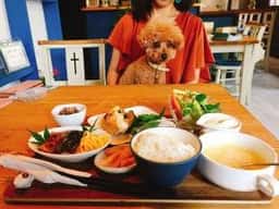 わんストーンカフェ