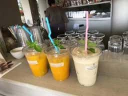 青島ハンモック