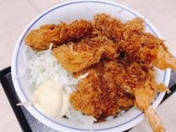 かつや 大井松田店