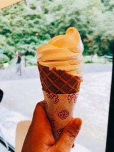 清津峡エントランス ペリスコープ