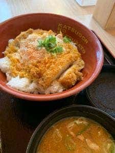 かつさと 豊川白鳥店
