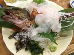 魚魚魚