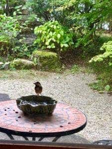 孝見さ寮