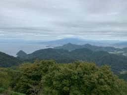 かつらぎ茶寮 伊豆の国パノラマパーク