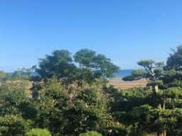 茶宗天地