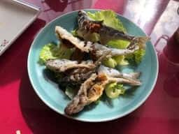 鹿追やまべ園