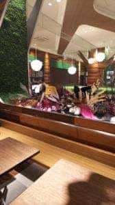 カリーダイニング サヒ