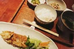 猫と魚