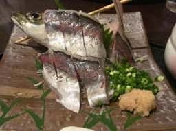 ニュー佳楽