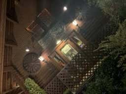 ラッキーバード