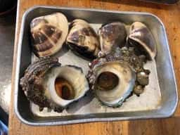 能登食祭市場 浜焼処