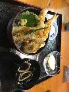 真鶴
