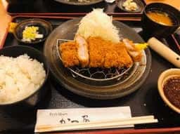 手打ちとんかつ かつ屋 ブルメールHAT神戸店