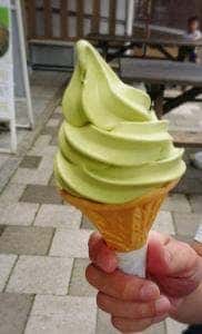 よもぎや 道の駅 天空の郷さんさん