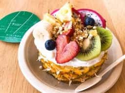 キニナル 魚津埋没林博物館