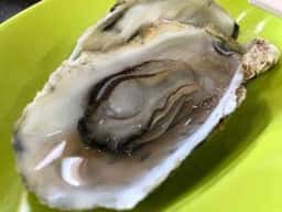 牡蠣ののぶりん