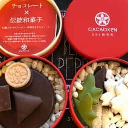カカオ研究所