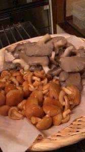 キッチン花水木