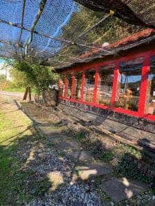 レストラン おちらと