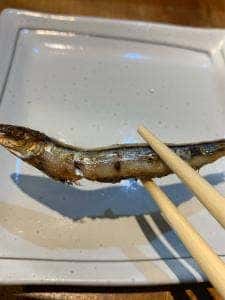 せいせん かごっまふるさと屋台村