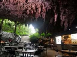 ガンガラーの谷 ケイブカフェ
