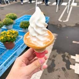 すかなごっそ