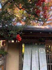 茶房むべ