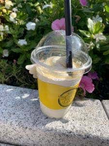 いずも ちーずけーき本舗