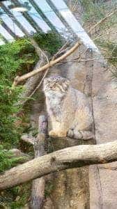 バーベキューガーデン 那須どうぶつ王国