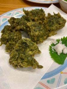 居食屋 吉照