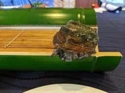 ホテルアレグリアガーデンズ天草