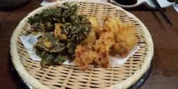 やまぐち料理と地酒 福の花 湯田本店