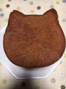 ねこねこ食パン アリオ北砂店