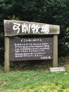 チーズハウス ヤルゴイ