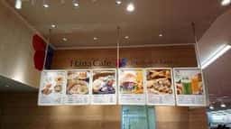 ハナカフェ ベイシア新座店