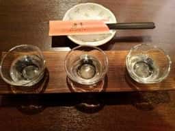 進肴