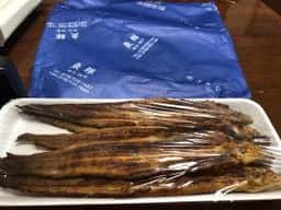 魚輝